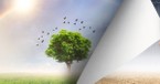 Earth Day Prayers and Scriptures That Celebrate God's Creation