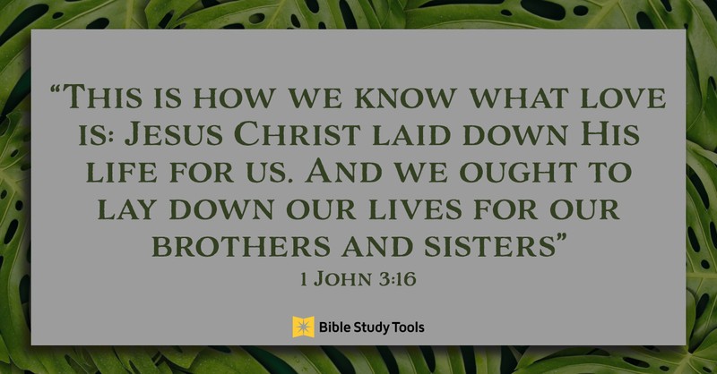 new year bible verses, 1 John 3:16